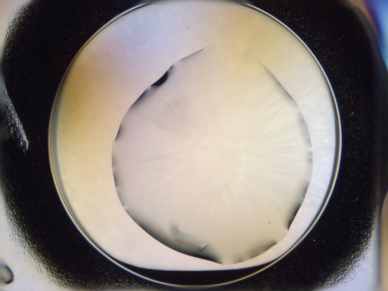 02ha_A6_ImagerDefaults_8.jpg