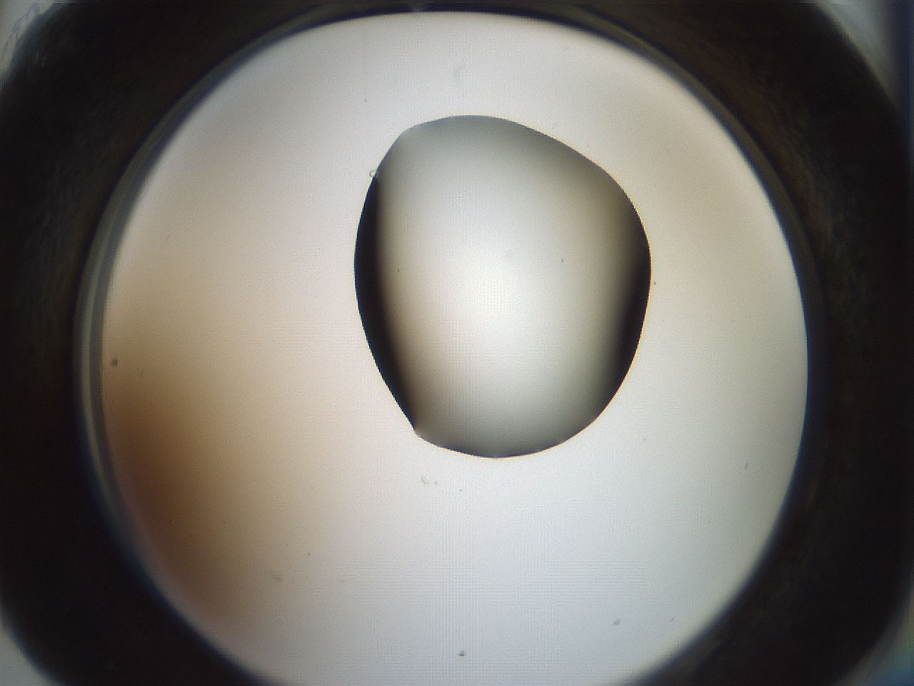folderID230_plateID1230_batchID3779_wellNum90_profileID1_d2_r71739_ef.jpg
