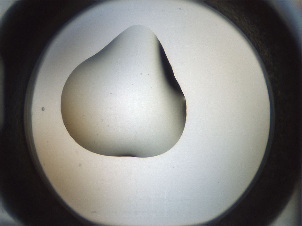 folderID230_plateID1230_batchID3779_wellNum94_profileID1_d1_r70301_ef.jpg