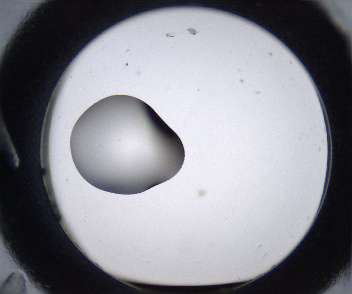 folderID230_plateID2230_batchID10094_wellNum11_profileID1_d1_r153135_ef.jpg