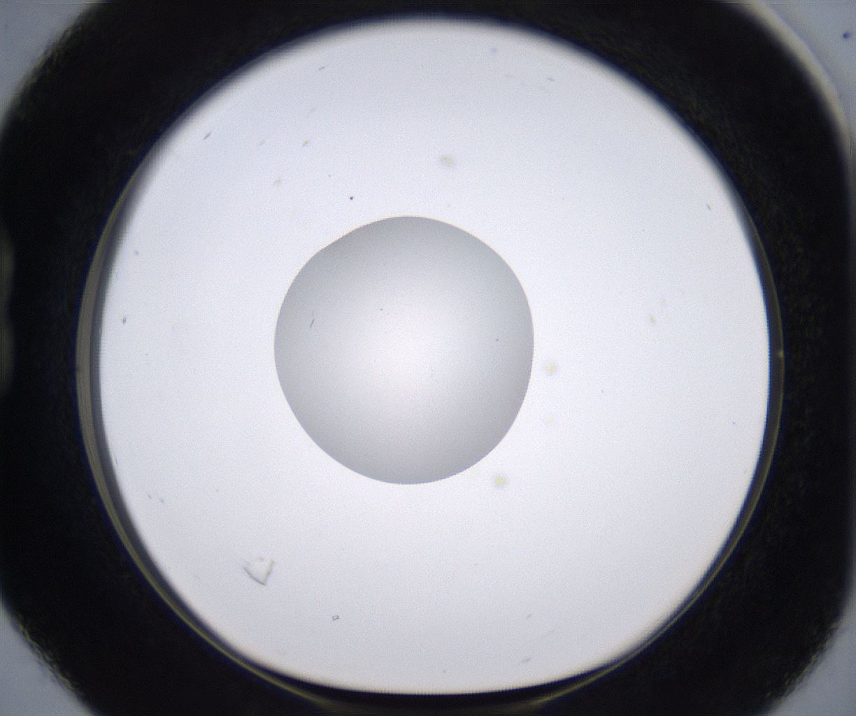 folderID230_plateID2230_batchID10094_wellNum16_profileID1_d1_r153145_ef.jpg
