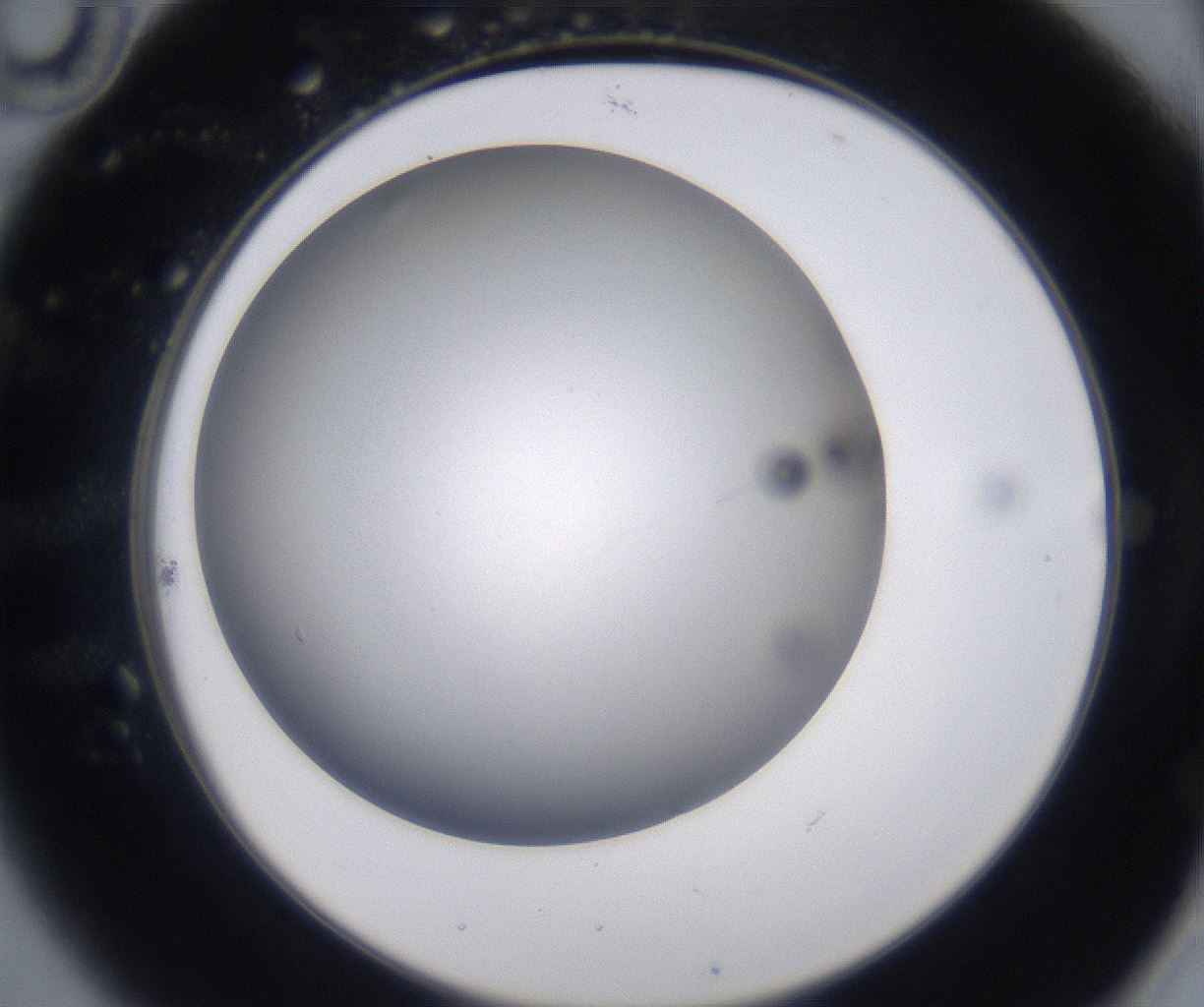 folderID230_plateID2230_batchID10094_wellNum22_profileID1_d2_r153158_ef.jpg