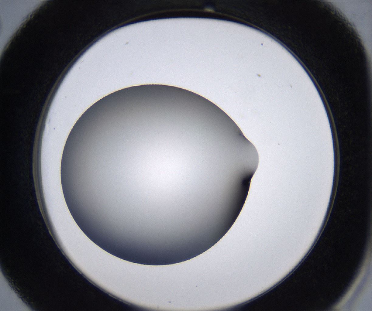 folderID230_plateID2230_batchID10094_wellNum26_profileID1_d2_r153166_ef.jpg