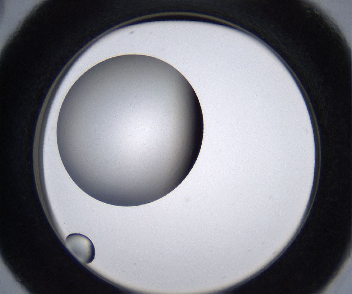 folderID230_plateID2230_batchID10094_wellNum29_profileID1_d2_r153172_ef.jpg