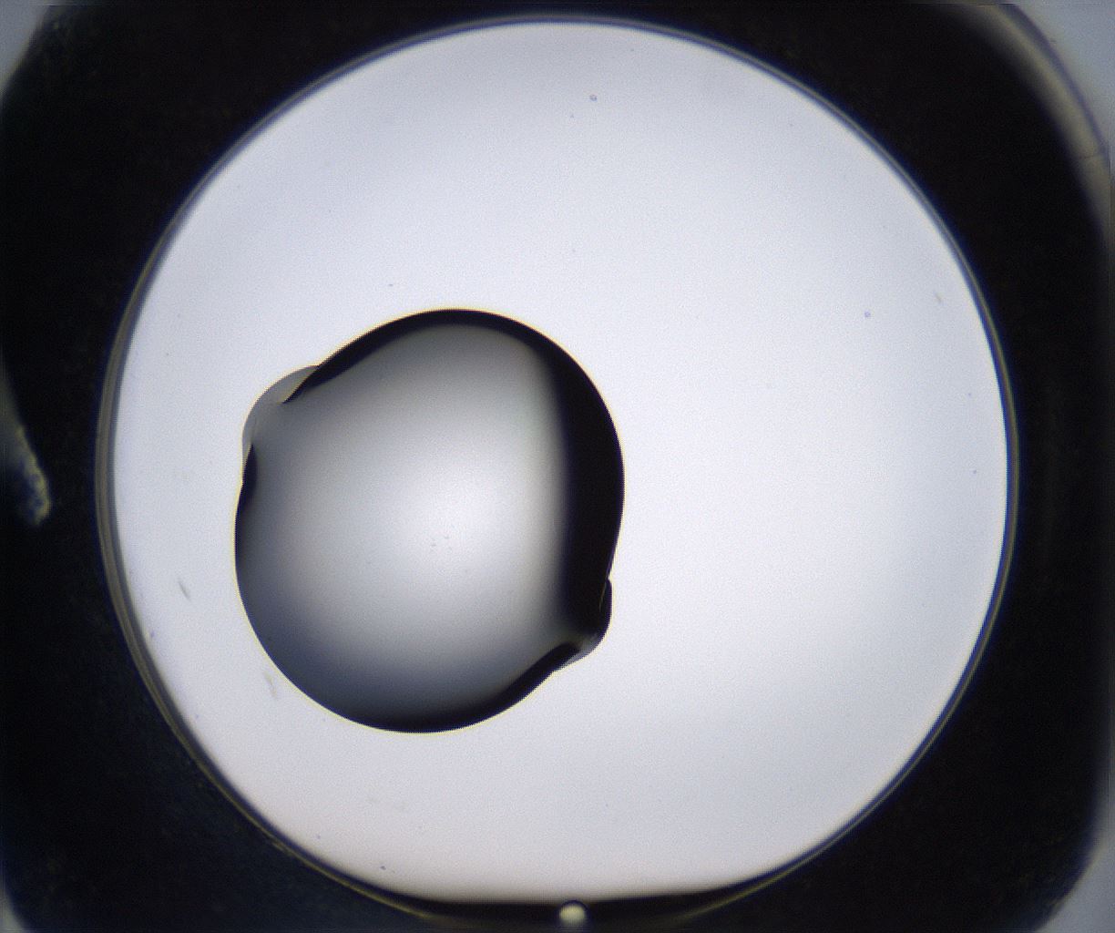 folderID230_plateID2230_batchID10094_wellNum2_profileID1_d1_r153117_ef.jpg
