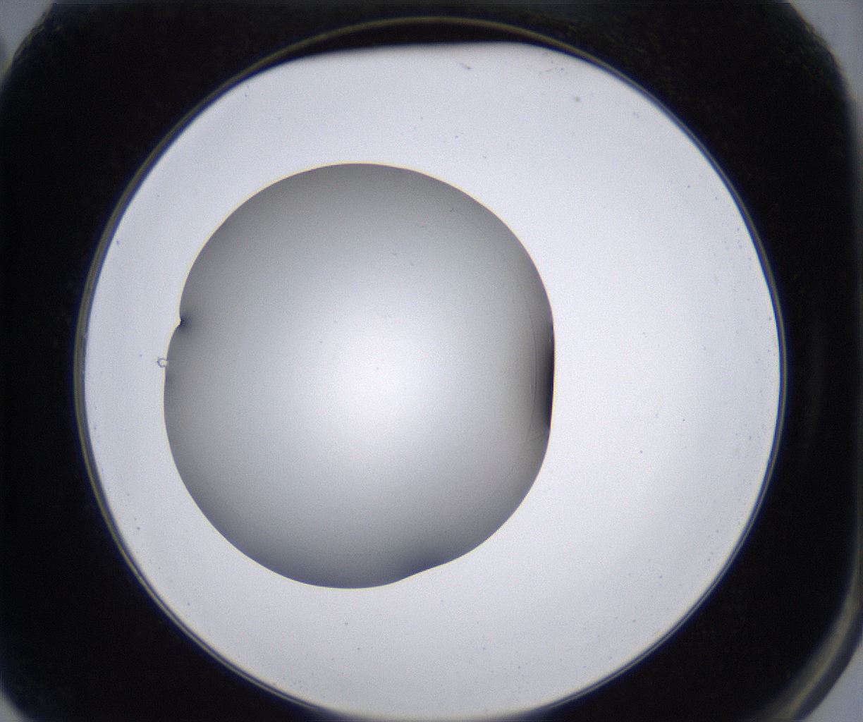 folderID230_plateID2230_batchID10094_wellNum2_profileID1_d2_r153118_ef.jpg