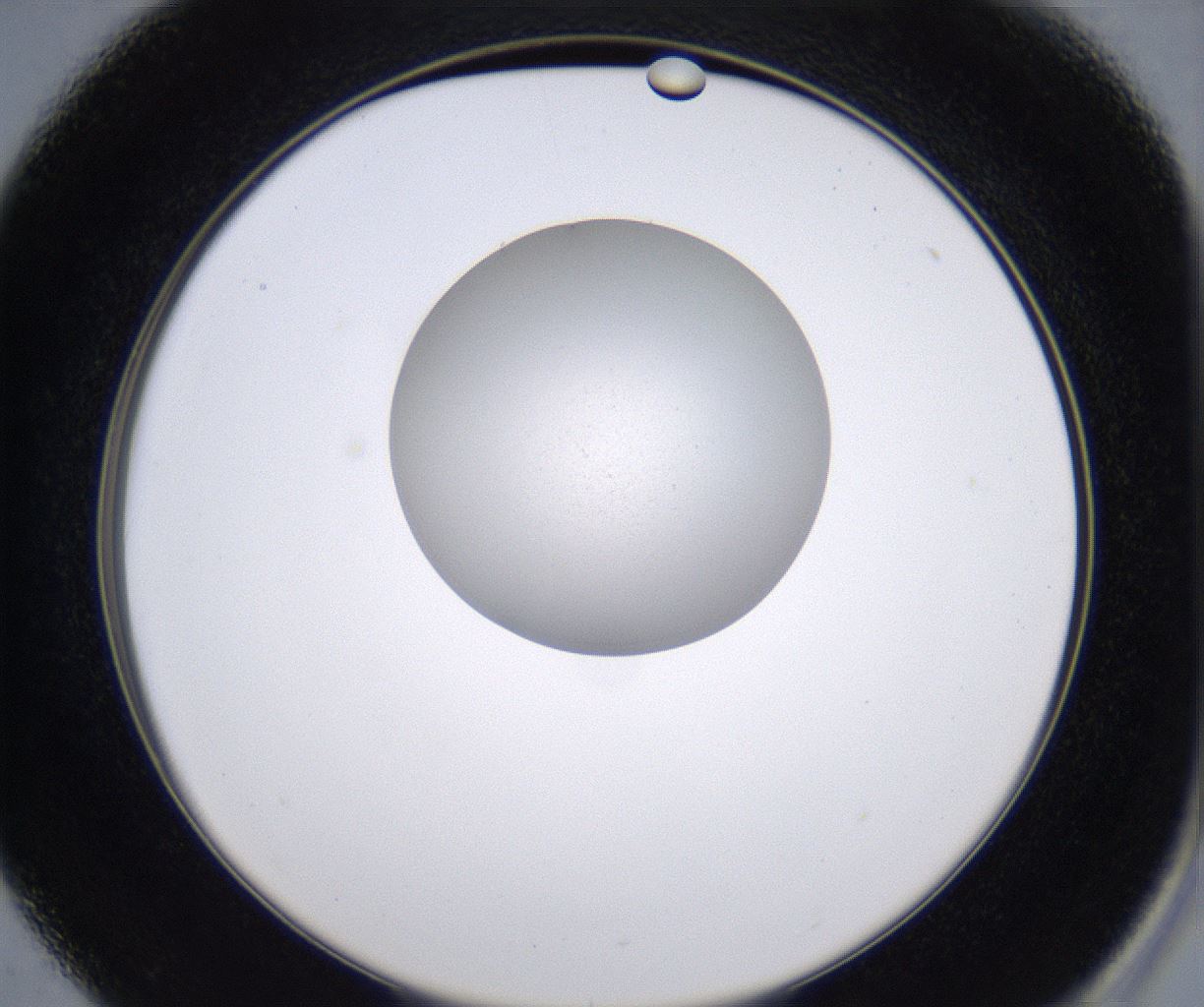 folderID230_plateID2230_batchID10094_wellNum37_profileID1_d2_r153188_ef.jpg