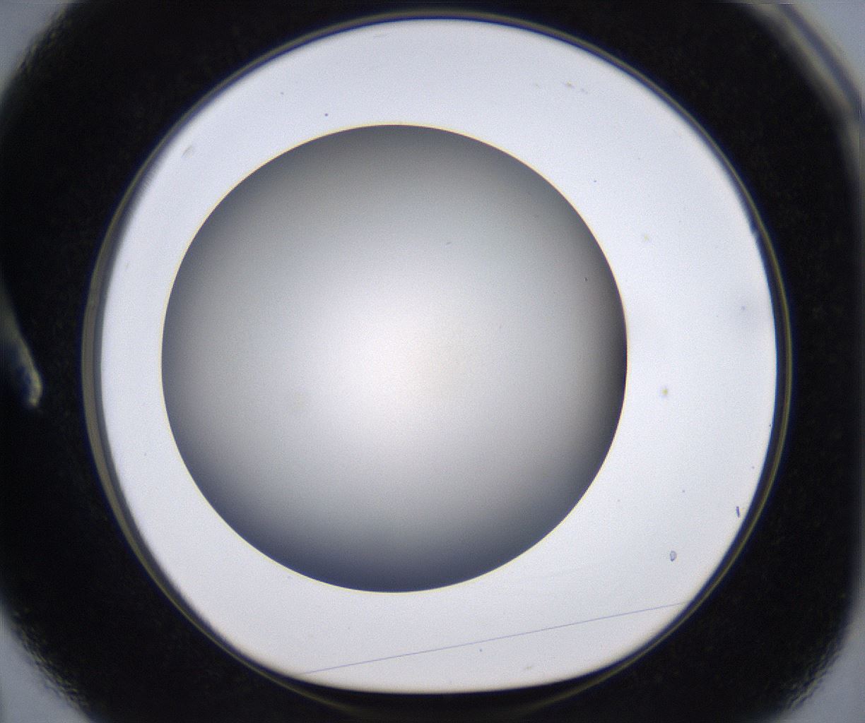 folderID230_plateID2230_batchID10094_wellNum3_profileID1_d1_r153119_ef.jpg