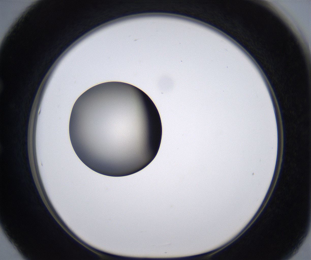 folderID230_plateID2230_batchID10094_wellNum53_profileID1_d1_r153219_ef.jpg