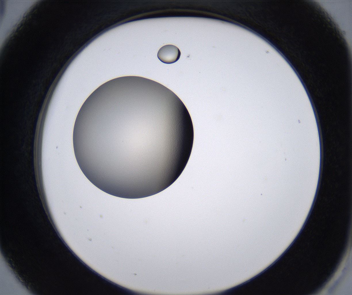 folderID230_plateID2230_batchID10094_wellNum5_profileID1_d2_r153124_ef.jpg