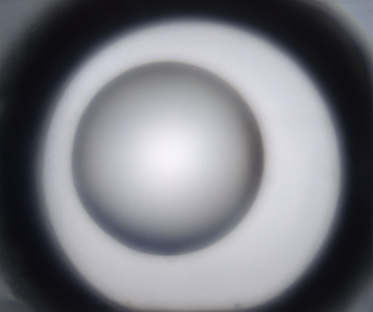 folderID230_plateID2230_batchID10094_wellNum70_profileID1_d1_r153253_ef.jpg