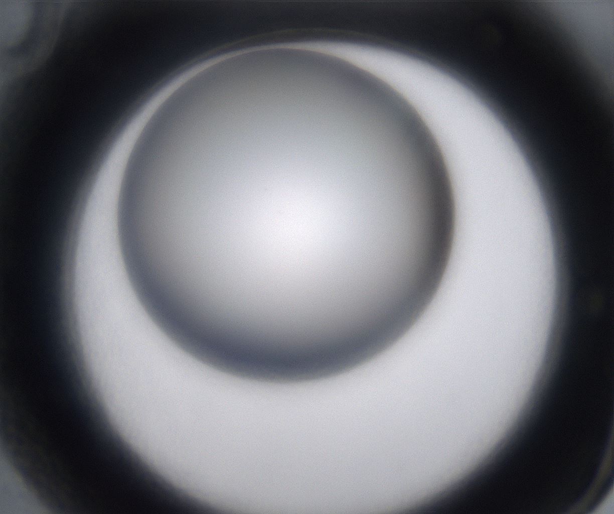 folderID230_plateID2230_batchID10094_wellNum70_profileID1_d2_r153254_ef.jpg