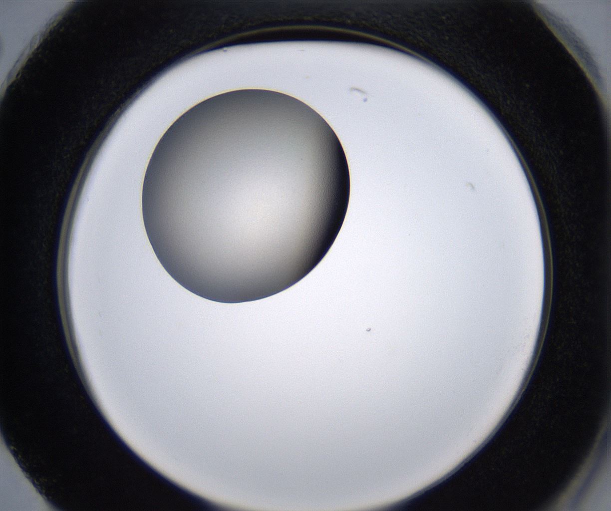 folderID230_plateID2230_batchID10094_wellNum74_profileID1_d2_r153262_ef.jpg