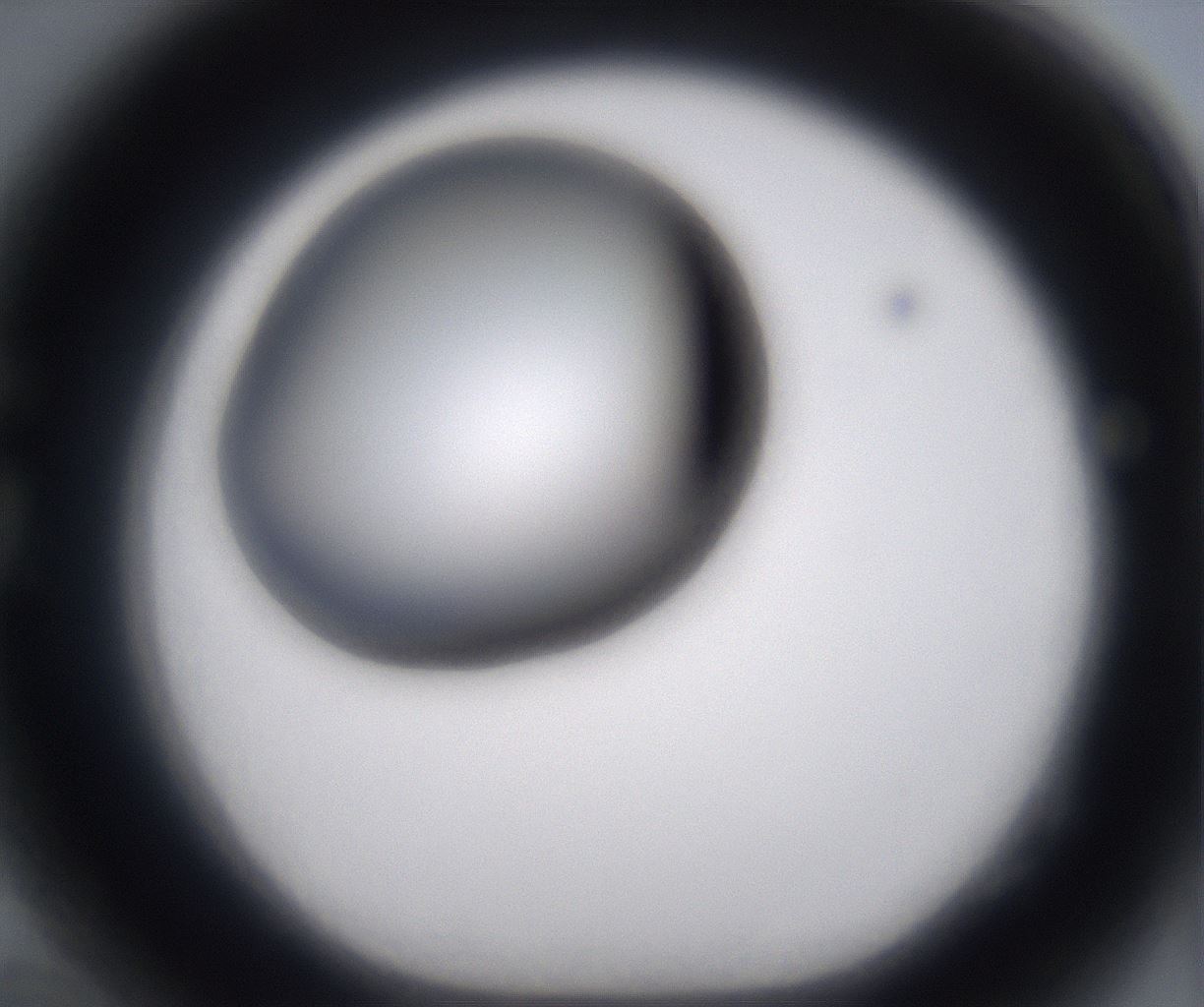 folderID230_plateID2230_batchID10094_wellNum82_profileID1_d1_r153277_ef.jpg
