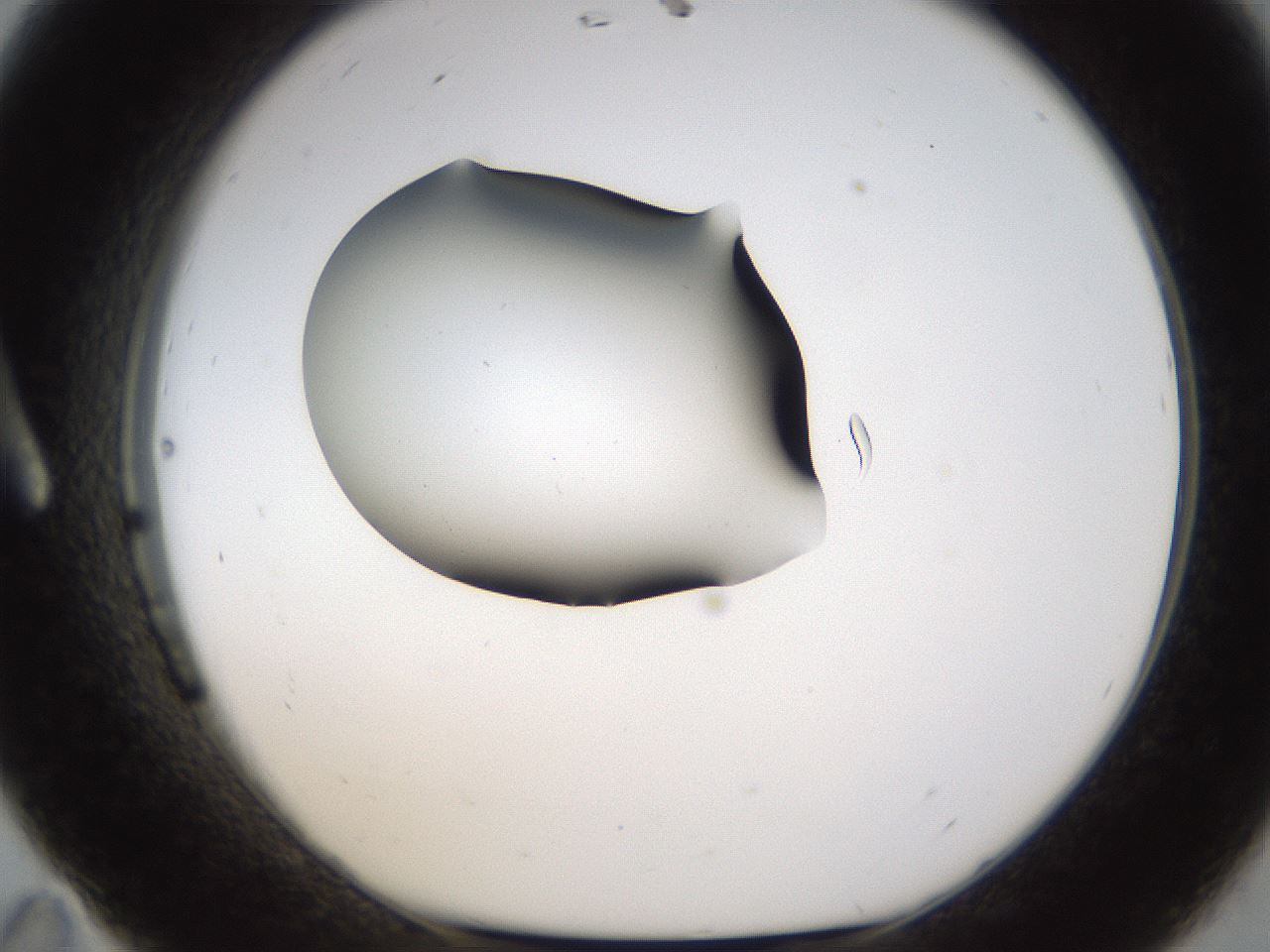 folderID231_plateID1231_batchID3778_wellNum11_profileID1_d1_r70122_ef.jpg