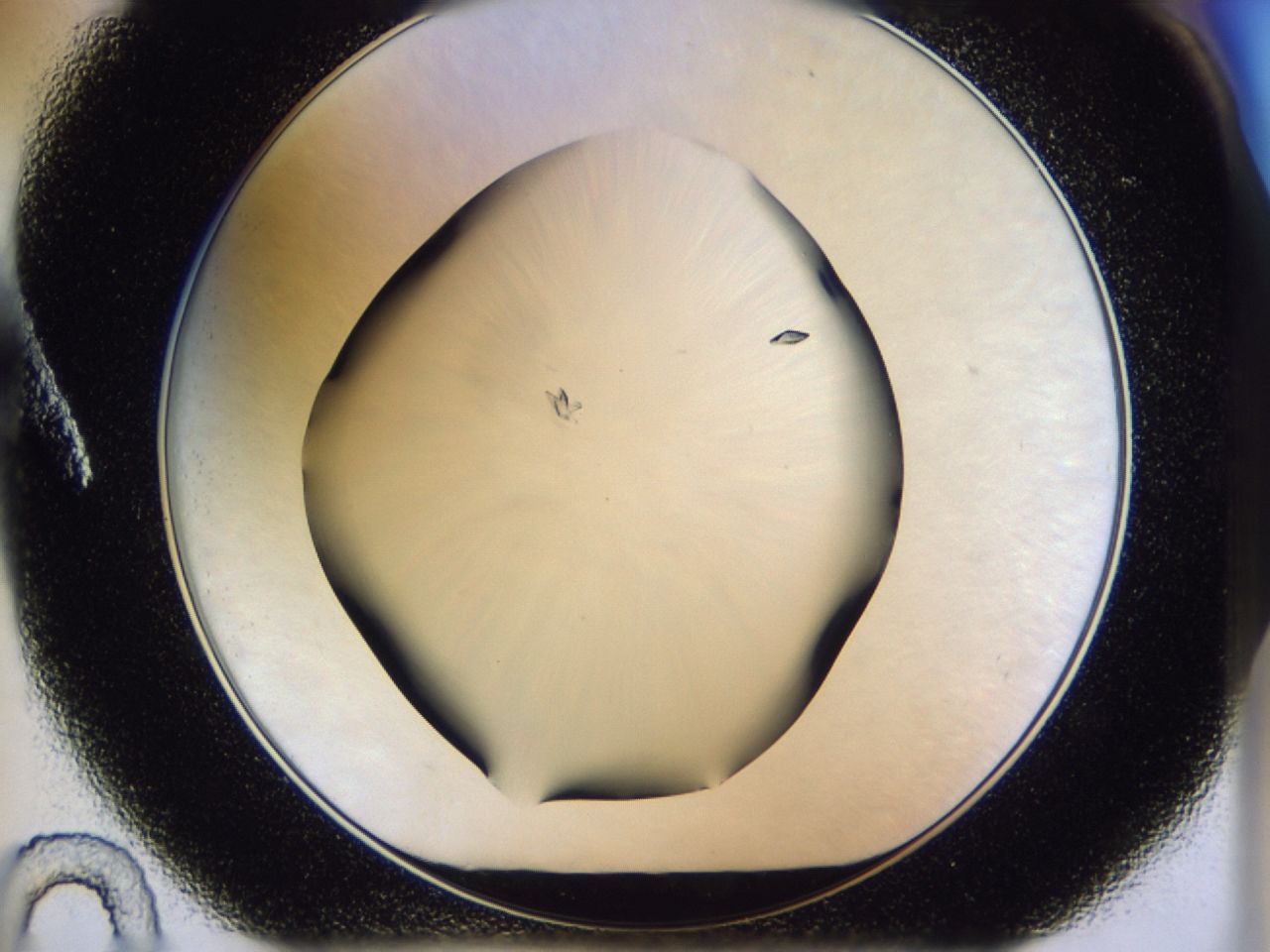 02ha_A10_ImagerDefaults_9.jpg