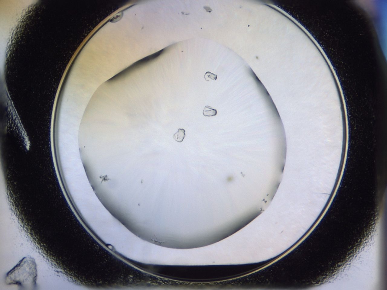 02ha_A11_ImagerDefaults_6.jpg