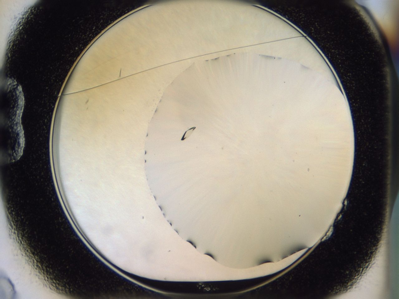 02ha_B2_ImagerDefaults_9.jpg
