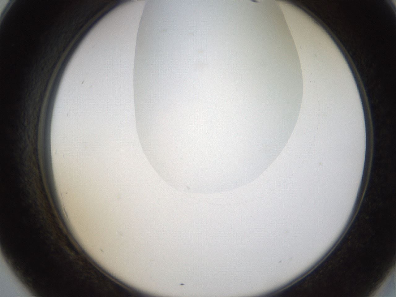 folderID231_plateID1231_batchID3778_wellNum69_profileID1_d2_r71814_ef.jpg