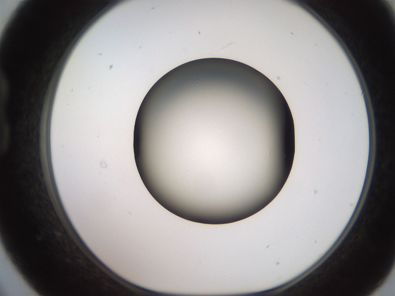 folderID233_plateID2233_batchID10121_wellNum21_profileID1_d1_r154287_ef.jpg
