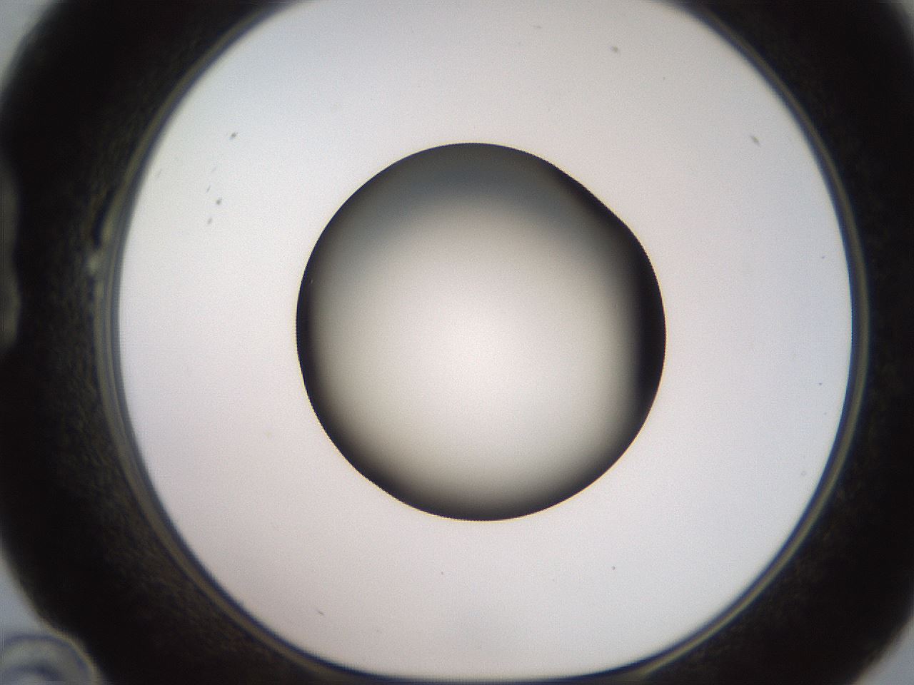 folderID233_plateID2233_batchID10121_wellNum22_profileID1_d1_r154288_ef.jpg