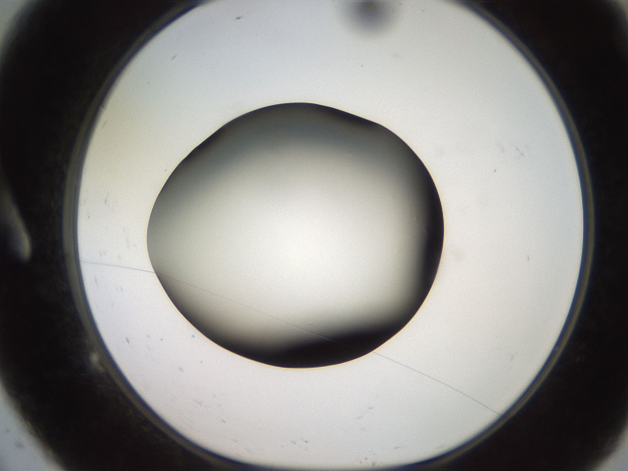 folderID233_plateID2233_batchID10121_wellNum9_profileID1_d1_r154275_ef.jpg