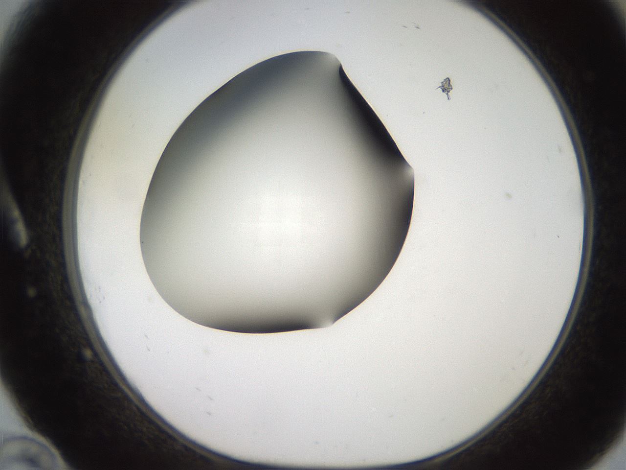 folderID234_plateID2234_batchID10122_wellNum10_profileID1_d1_r154372_ef.jpg