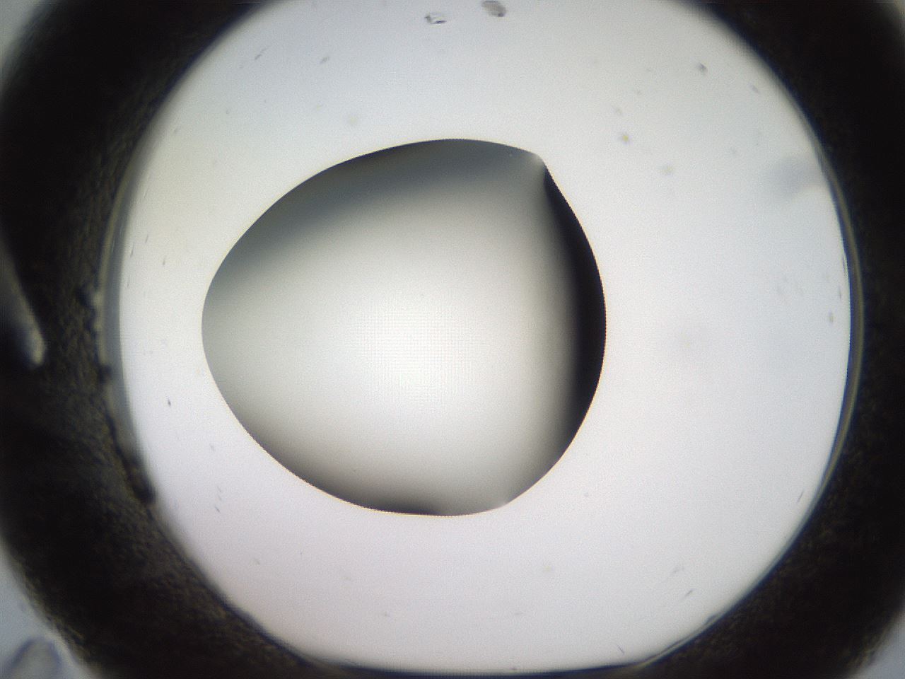 folderID234_plateID2234_batchID10122_wellNum11_profileID1_d1_r154373_ef.jpg