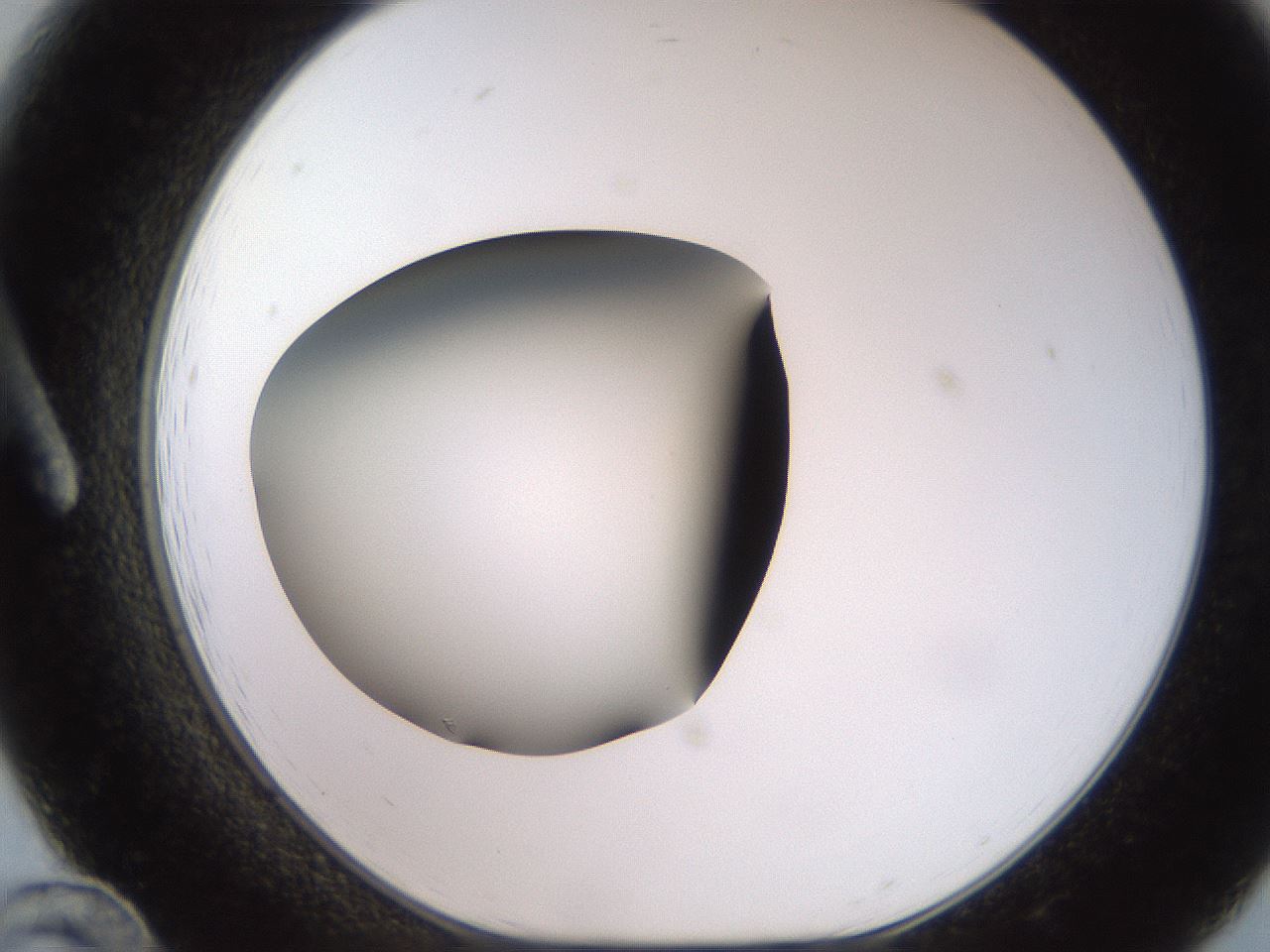 folderID234_plateID2234_batchID10122_wellNum12_profileID1_d1_r154374_ef.jpg