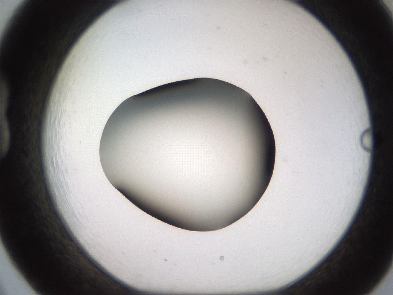 folderID234_plateID2234_batchID10122_wellNum20_profileID1_d1_r154382_ef.jpg