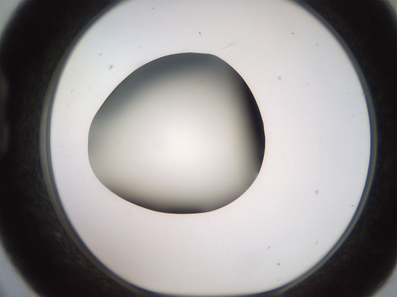 folderID234_plateID2234_batchID10122_wellNum21_profileID1_d1_r154383_ef.jpg