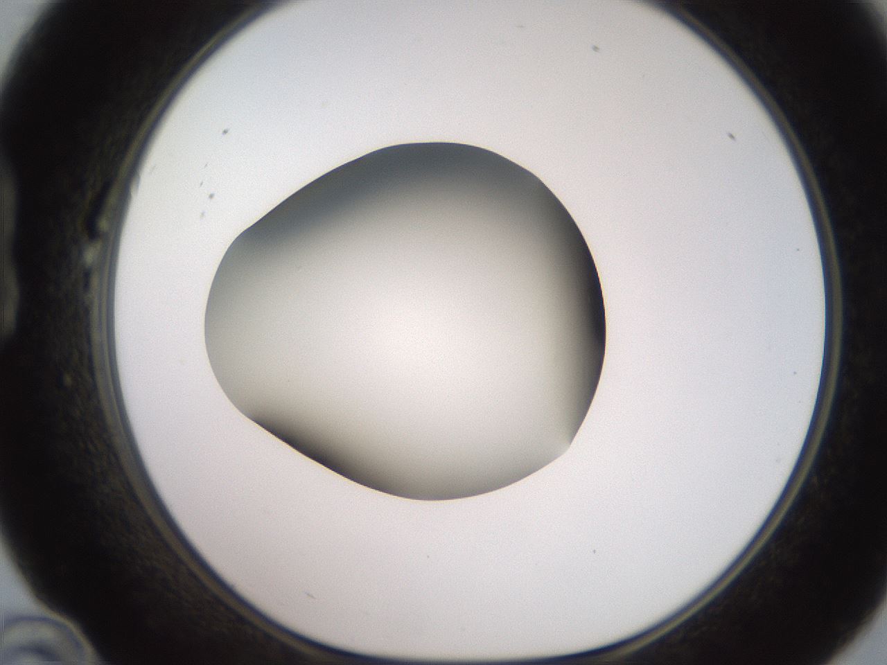folderID234_plateID2234_batchID10122_wellNum22_profileID1_d1_r154384_ef.jpg
