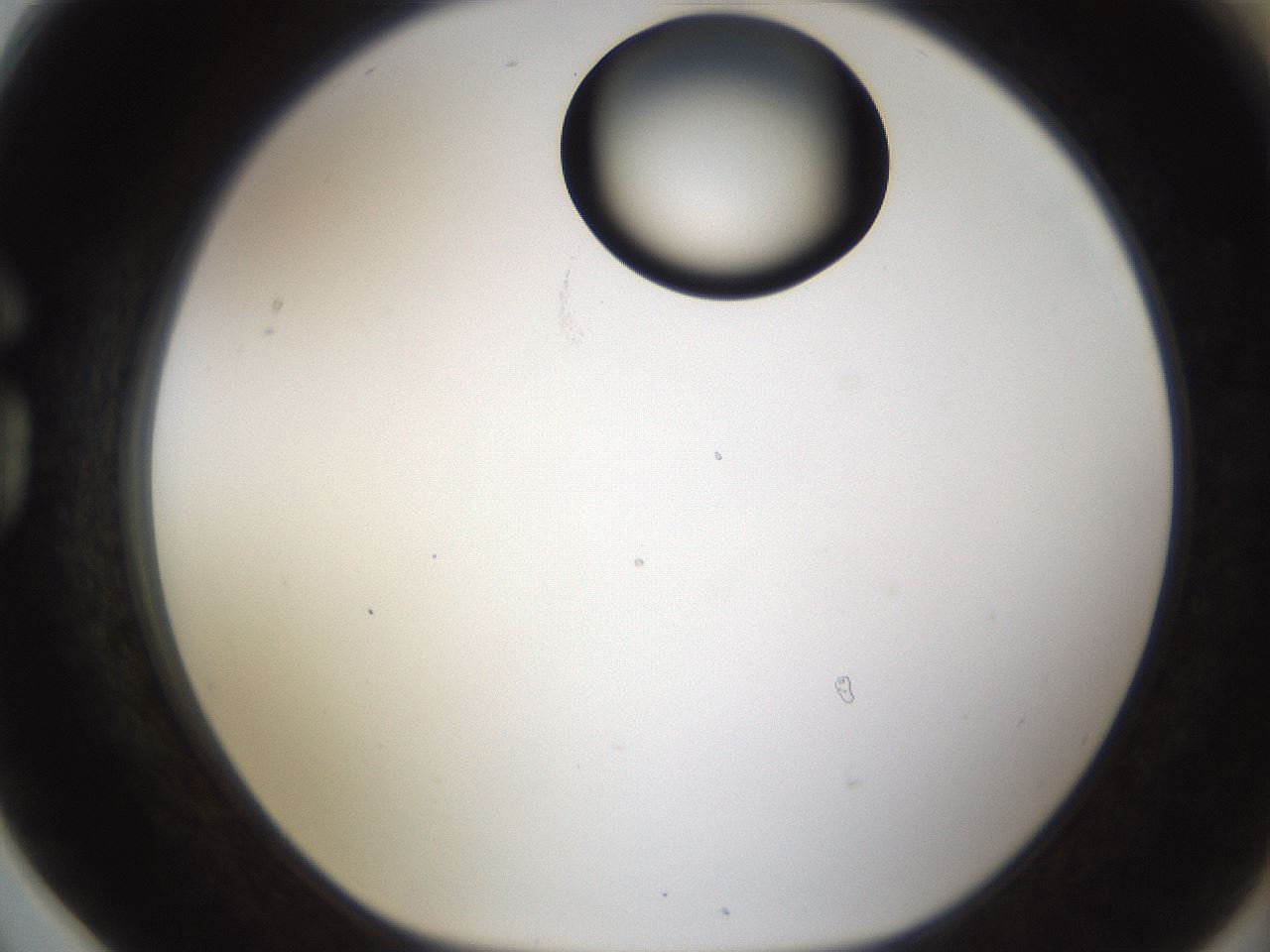 folderID239_plateID1239_batchID3802_wellNum78_profileID1_d1_r72015_ef.jpg
