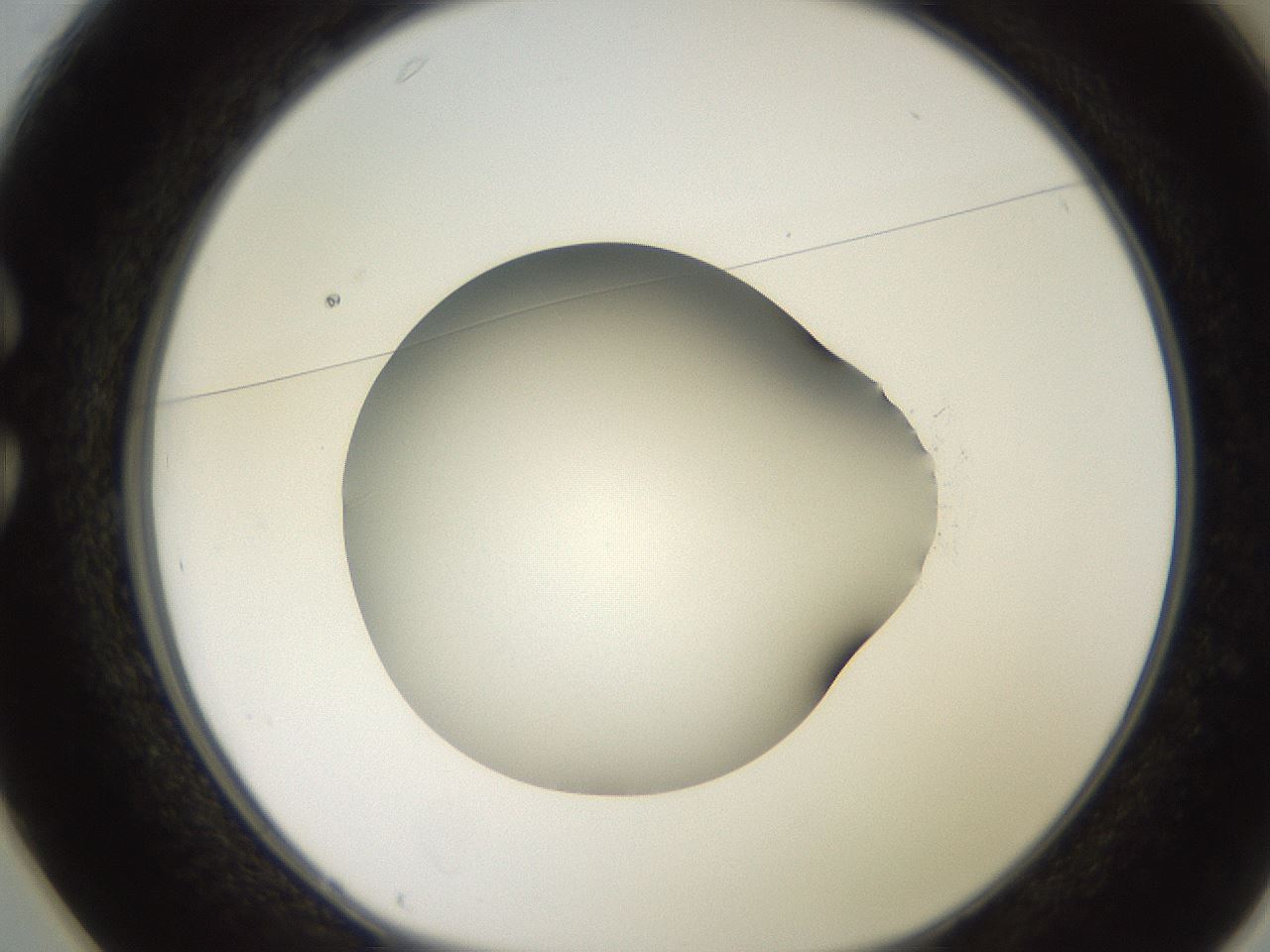 folderID247_plateID2247_batchID10277_wellNum25_profileID1_d1_r155115_ef.jpg