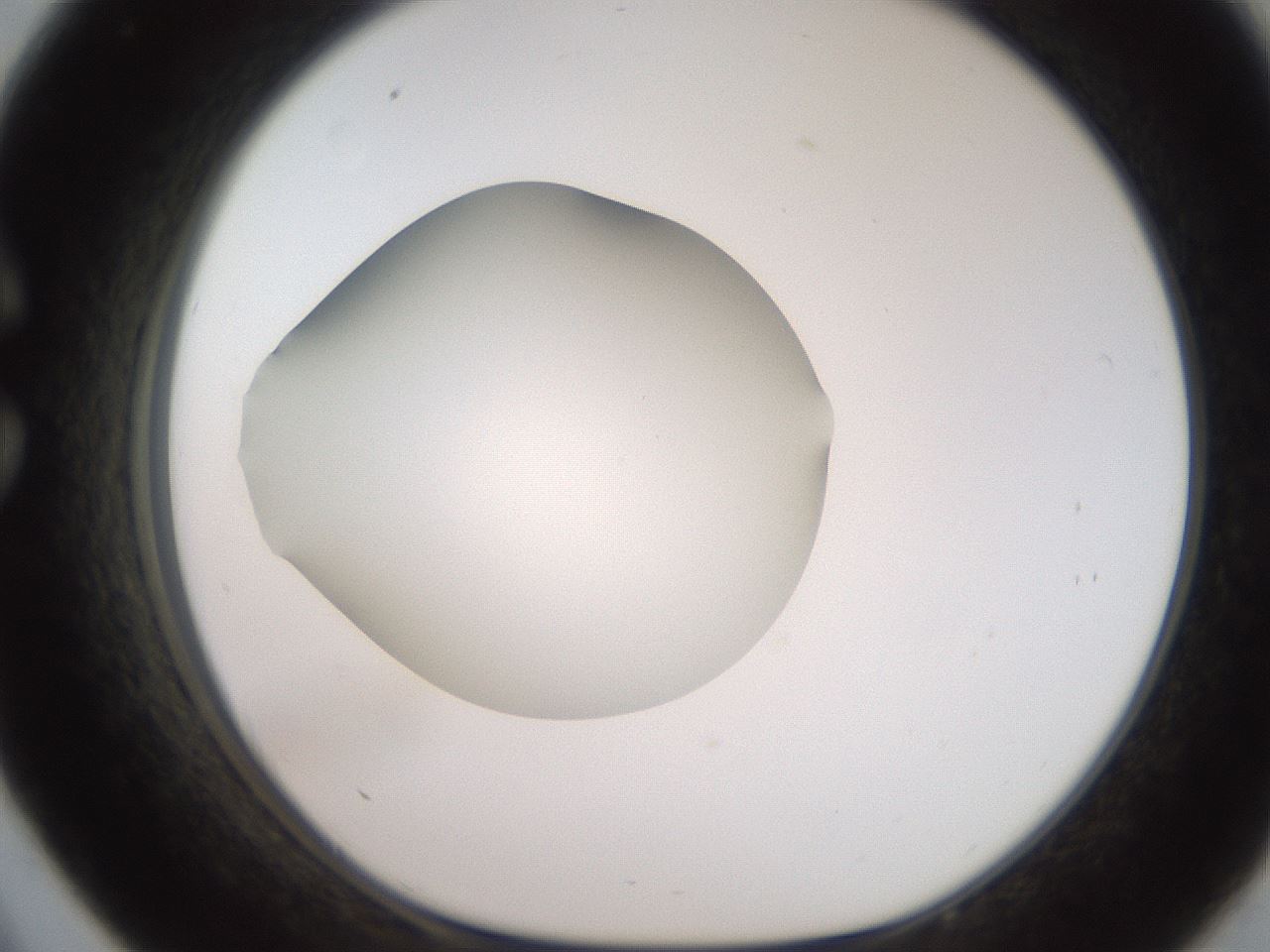folderID248_plateID2248_batchID10283_wellNum33_profileID1_d1_r155899_ef.jpg