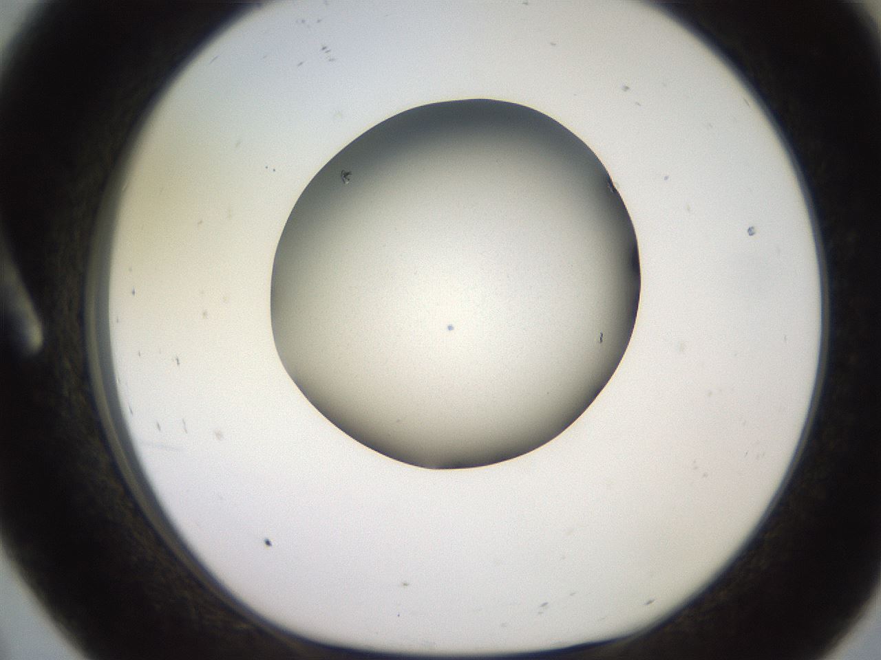 folderID249_plateID2249_batchID10284_wellNum8_profileID1_d1_r156236_ef.jpg
