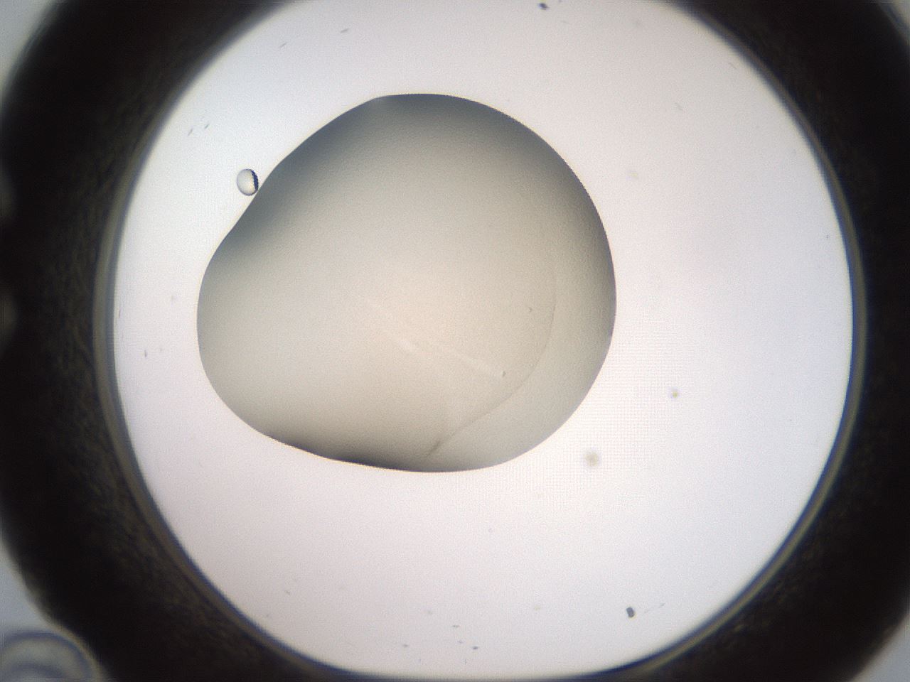 folderID234_plateID2234_batchID10122_wellNum34_profileID1_d1_r154396_ef.jpg