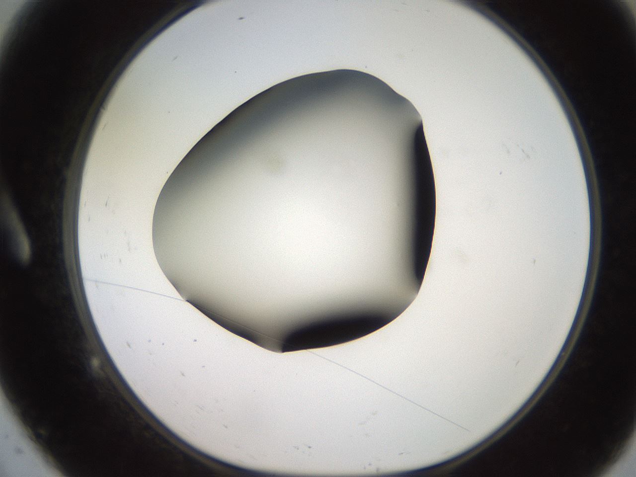 folderID234_plateID2234_batchID10122_wellNum9_profileID1_d1_r154371_ef.jpg