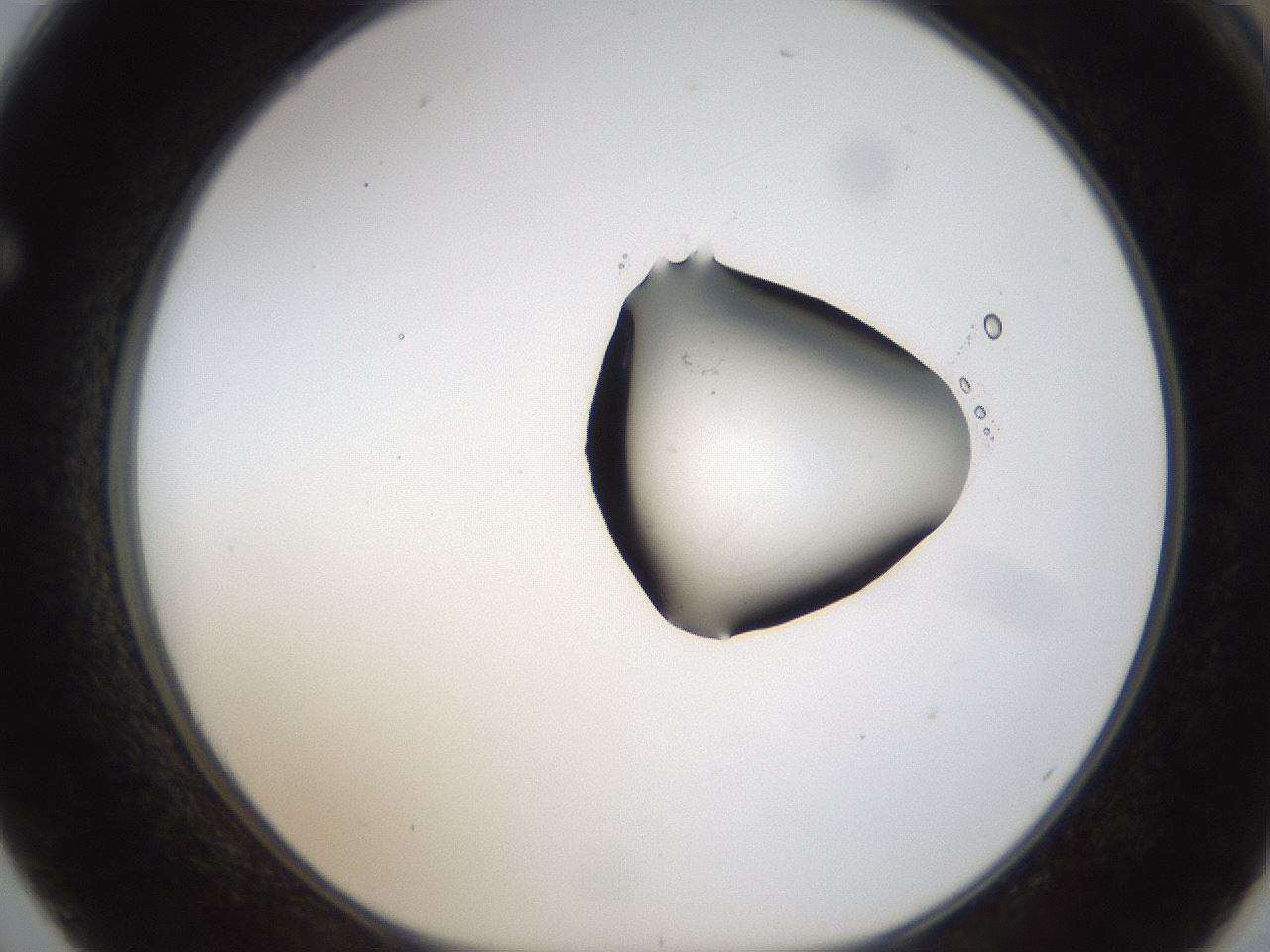 folderID236_plateID1236_batchID3800_wellNum62_profileID1_d1_r71903_ef.jpg