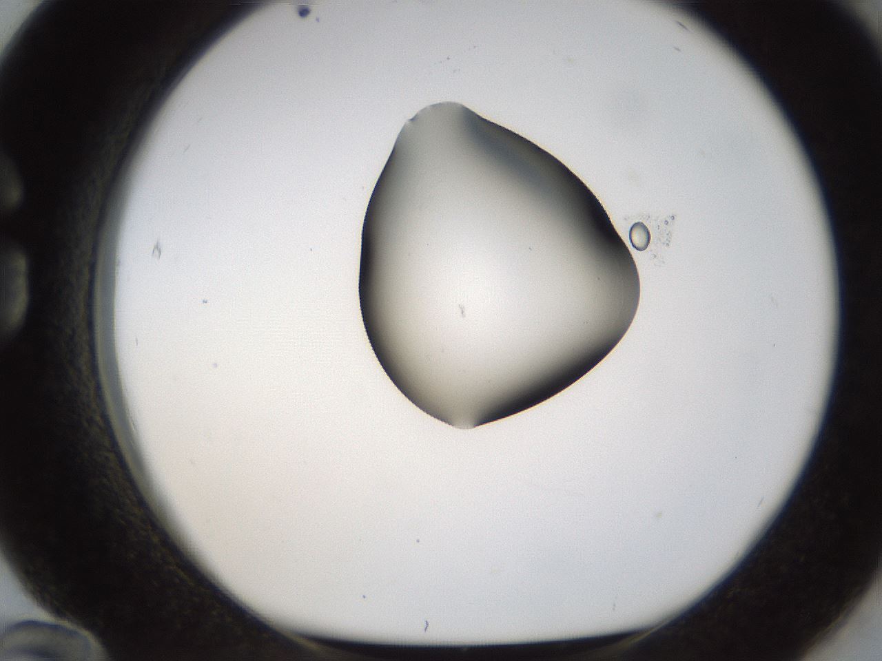 folderID236_plateID1236_batchID3800_wellNum84_profileID1_d1_r71925_ef.jpg