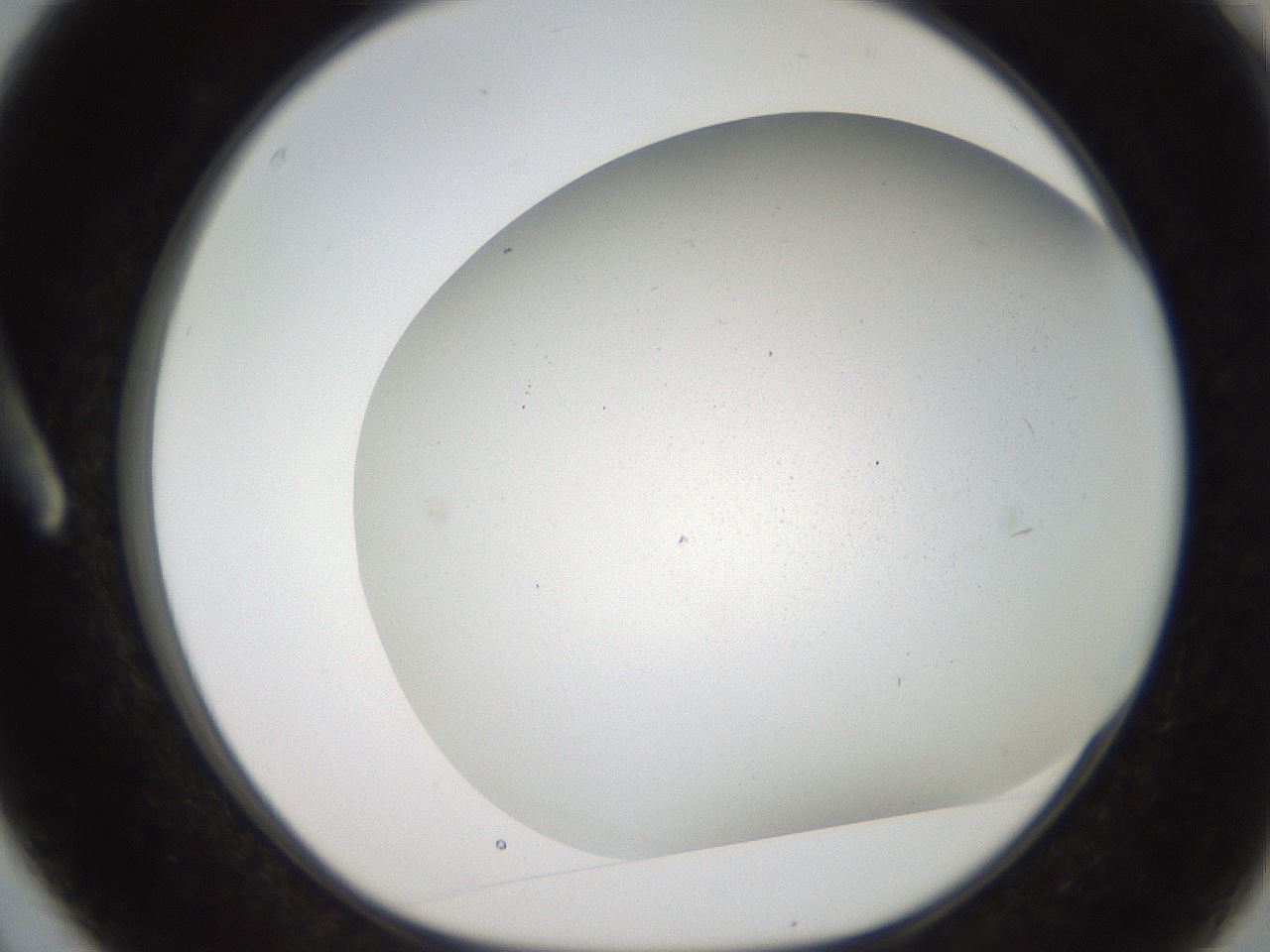 folderID236_plateID2236_batchID10126_wellNum3_profileID1_d1_r154557_ef.jpg