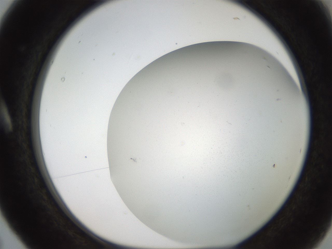 folderID236_plateID2236_batchID10126_wellNum5_profileID1_d1_r154559_ef.jpg