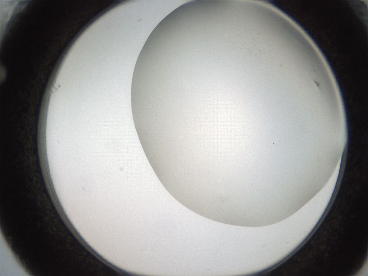 folderID236_plateID2236_batchID10126_wellNum61_profileID1_d1_r154615_ef.jpg