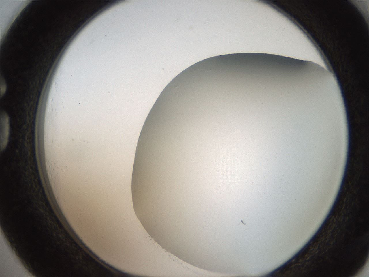 folderID236_plateID2236_batchID10126_wellNum73_profileID1_d1_r154627_ef.jpg