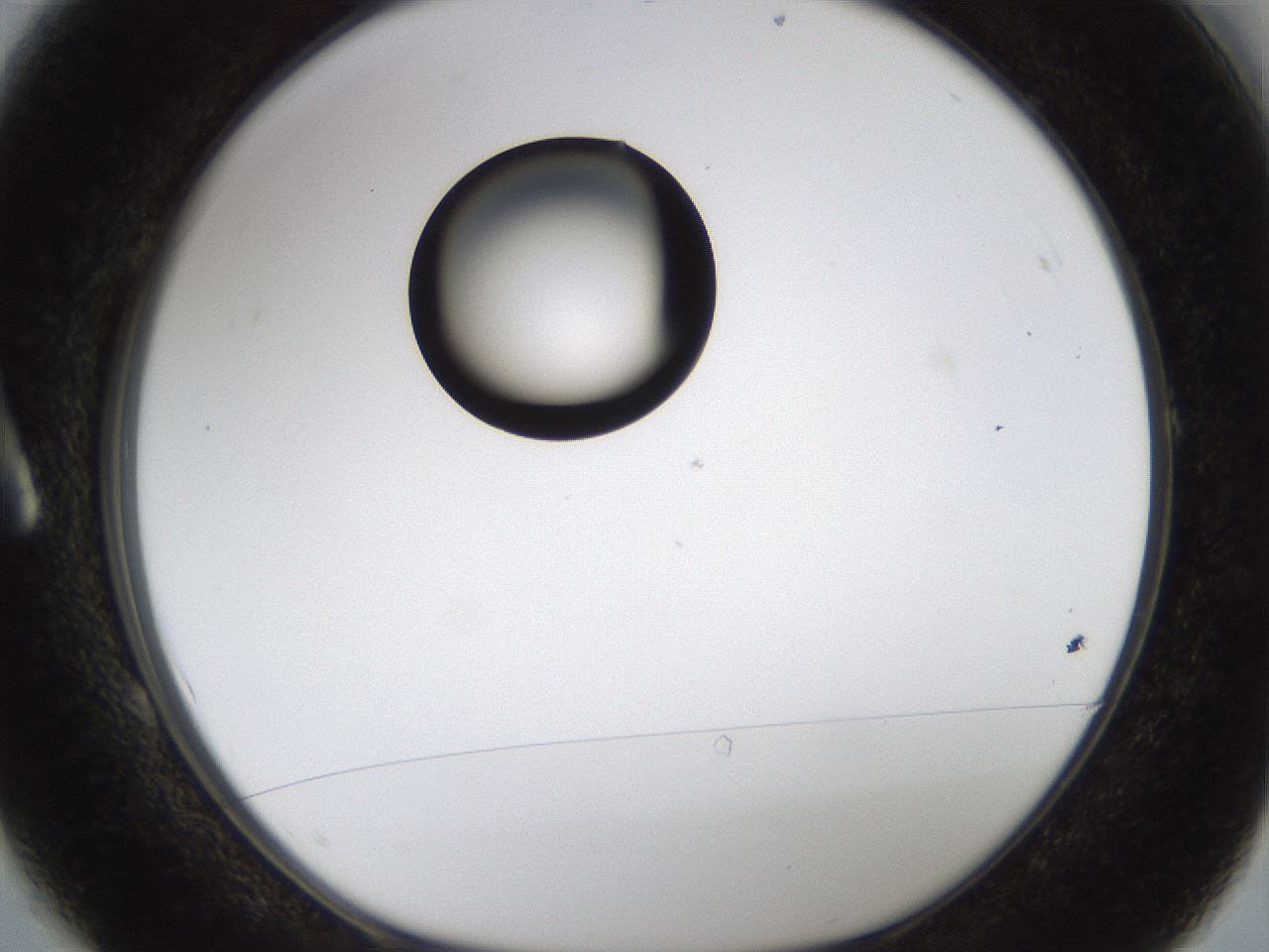 folderID238_plateID1238_batchID3807_wellNum1_profileID1_d1_r72034_ef.jpg