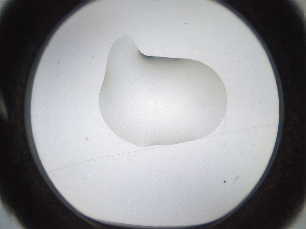 folderID238_plateID1238_batchID3807_wellNum4_profileID1_d1_r72037_ef.jpg