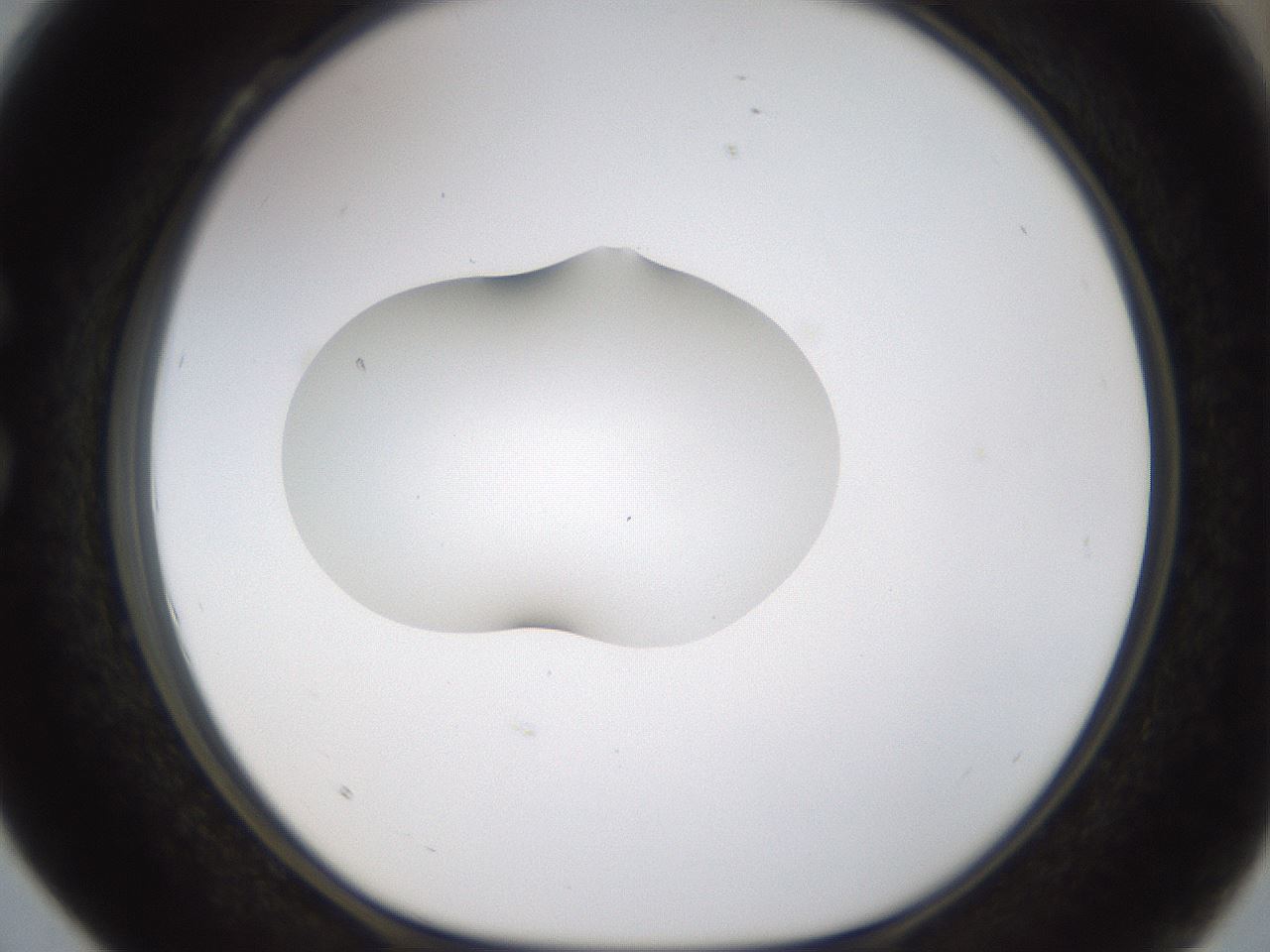 folderID239_plateID1239_batchID3802_wellNum28_profileID1_d1_r71965_ef.jpg