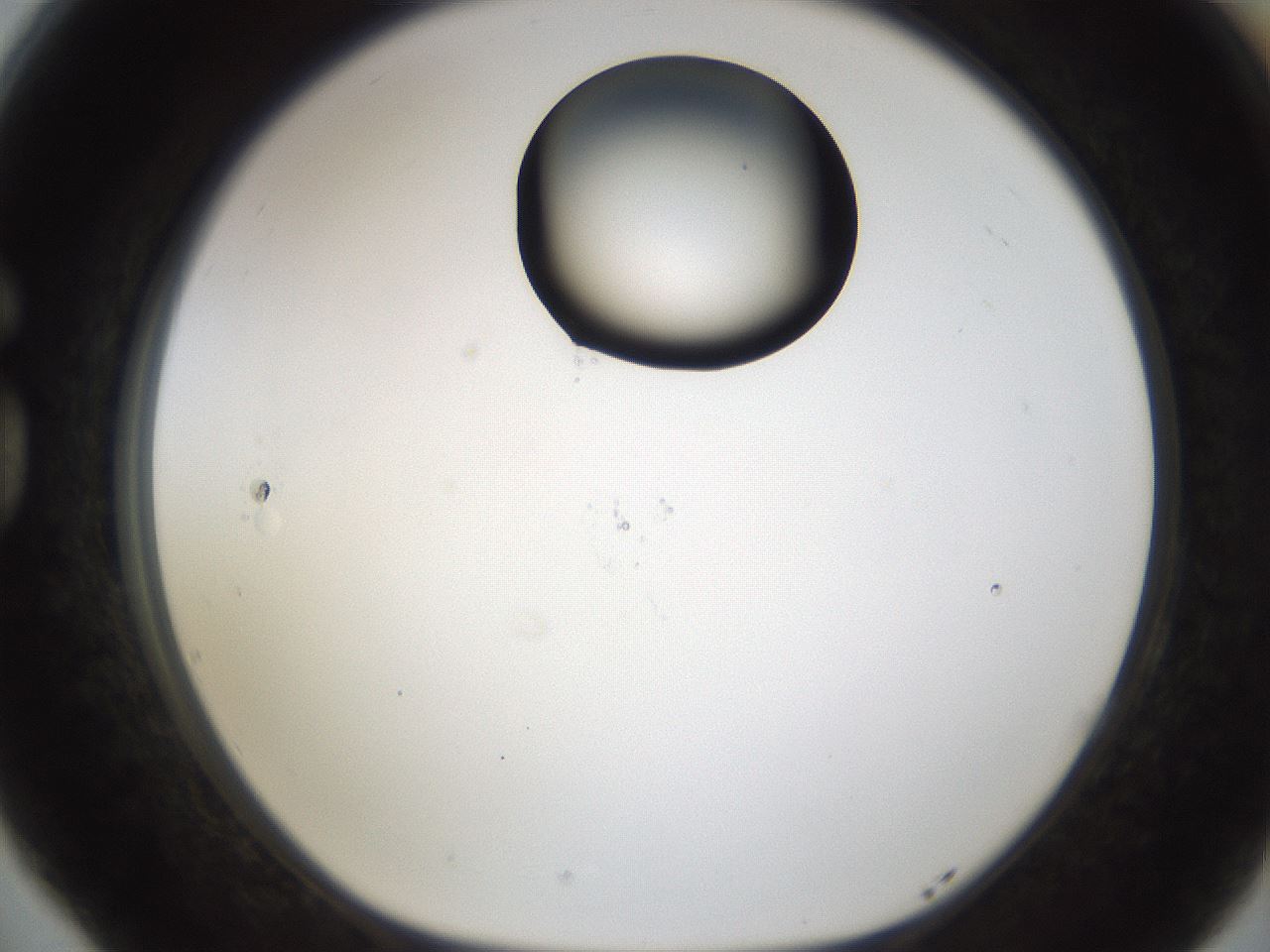 folderID239_plateID1239_batchID3802_wellNum77_profileID1_d1_r72014_ef.jpg
