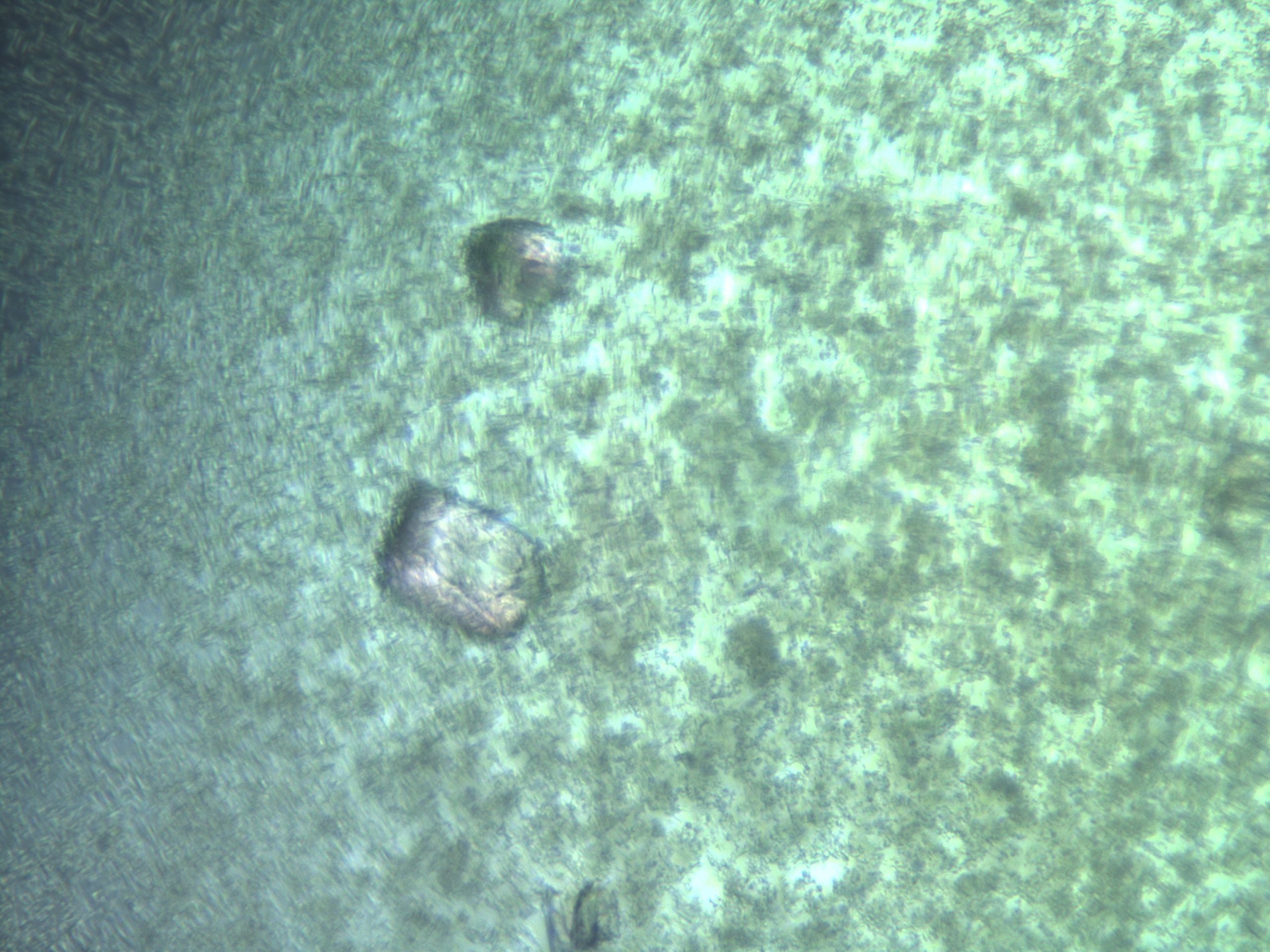 02hf_E3_HighResolution_9.jpg