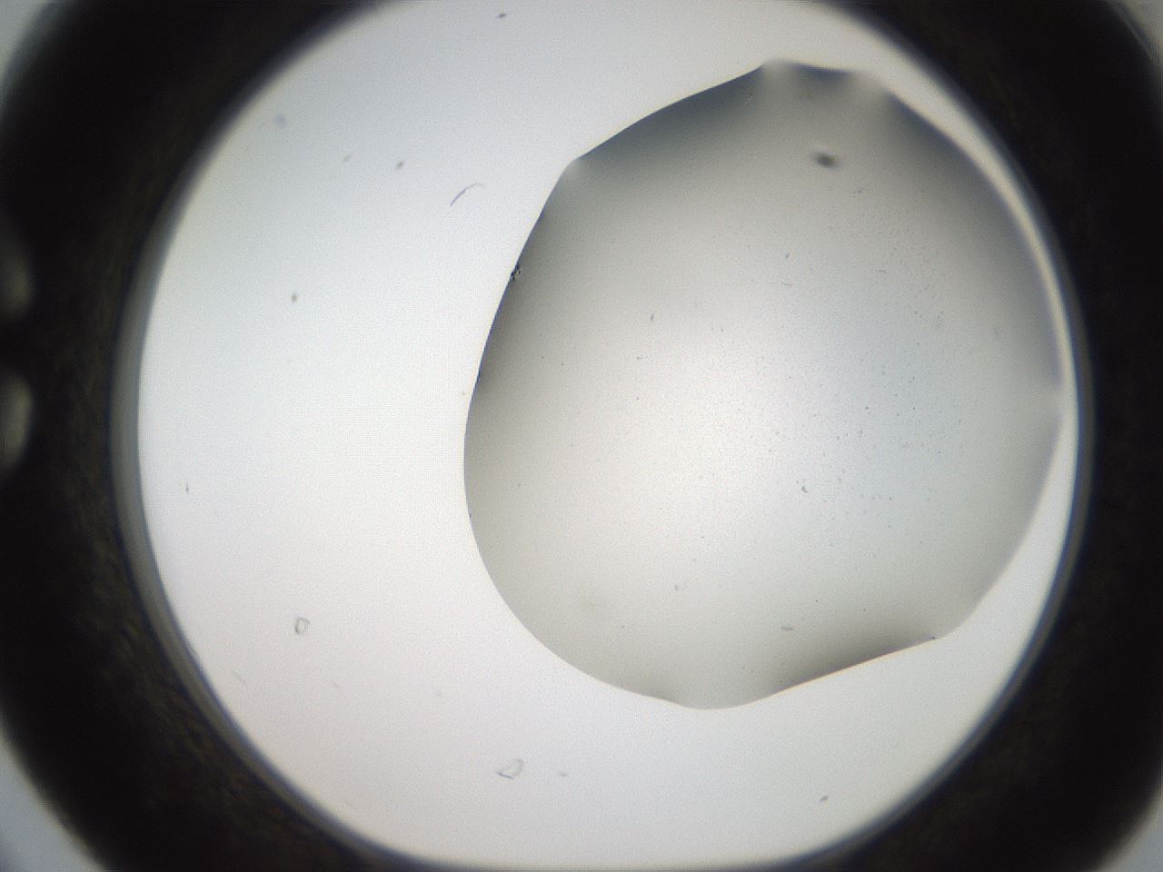folderID242_plateID2242_batchID10224_wellNum30_profileID1_d1_r154799_ef.jpg
